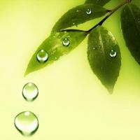 Giọt Nước Có Buồn Không?