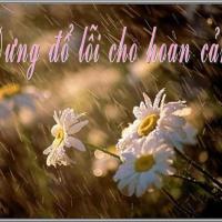 Đừng đổ lỗi cho hoàn cảnh