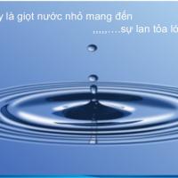 Những Vòng Tròn 