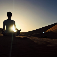 Meditation Student & Scorpion   