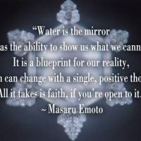 Water and Human Behavior