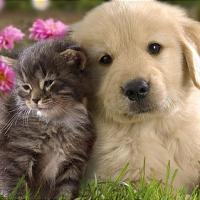 Freundschaft