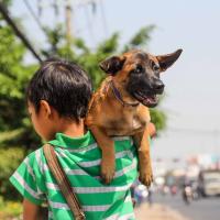 Trái Tim Bồ Tát