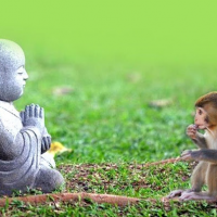 Những lời khuyên hữu ích