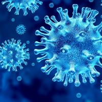 Virus COVID-19