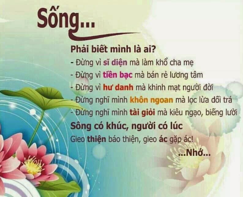LoiHayYDep MonQuaMoiNgay 11