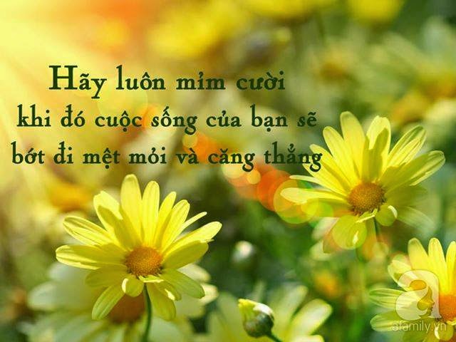 LoiHayYDep MonQuaMoiNgay 4