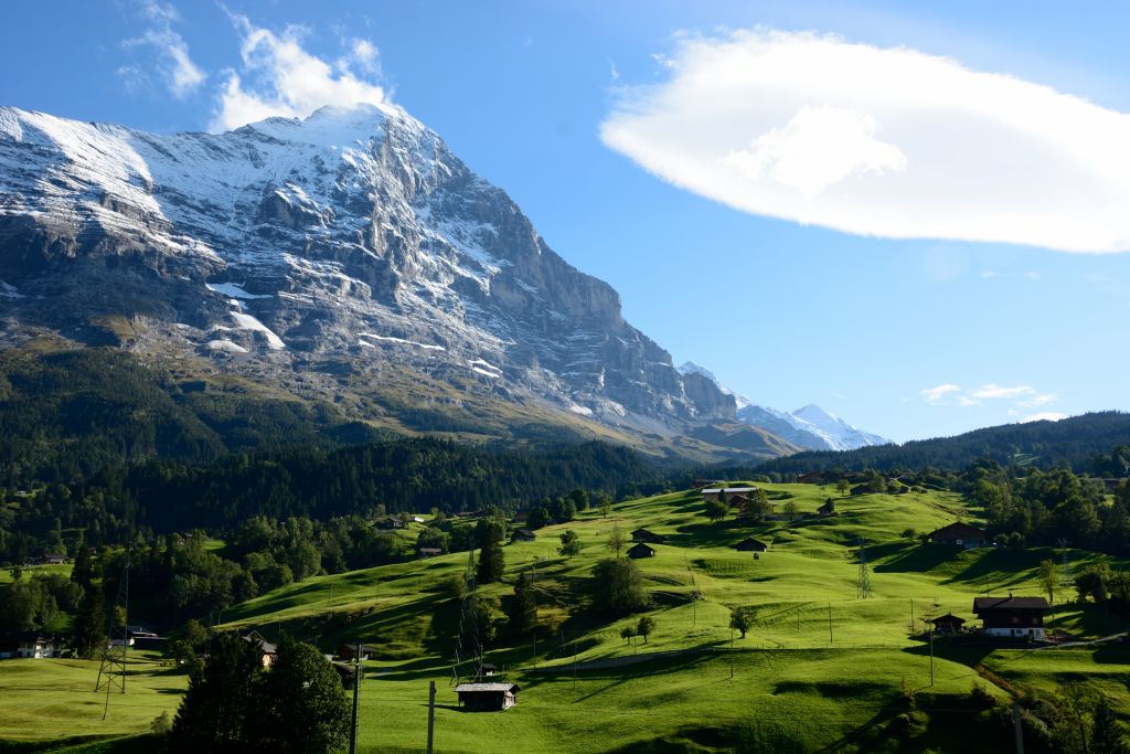 SchönheitNatur 1