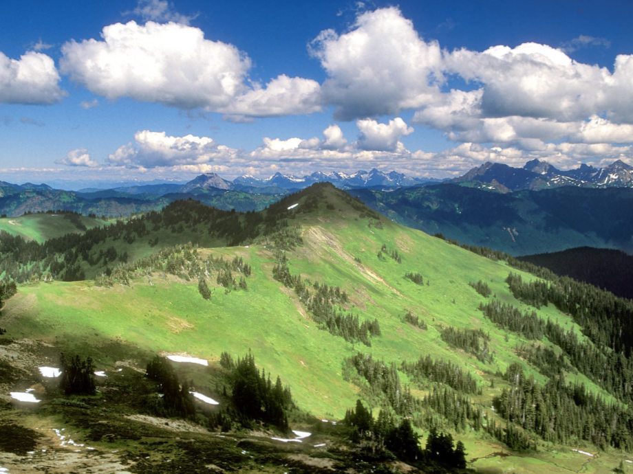 SchönheitNatur 19