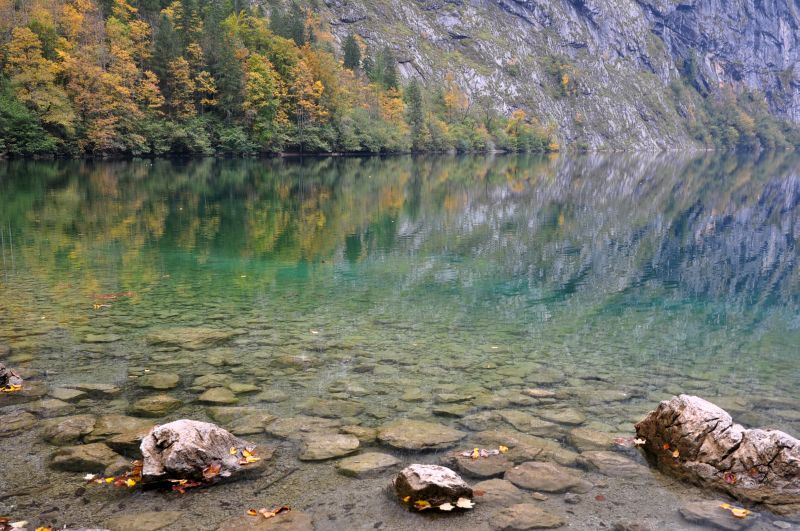 SchönheitNatur 5