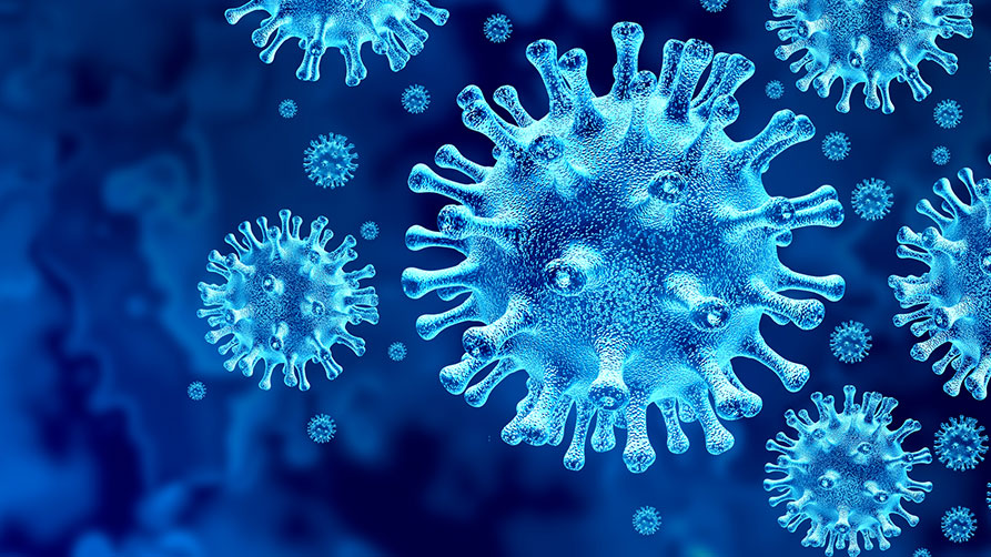 SuyNgam Coronavirus
