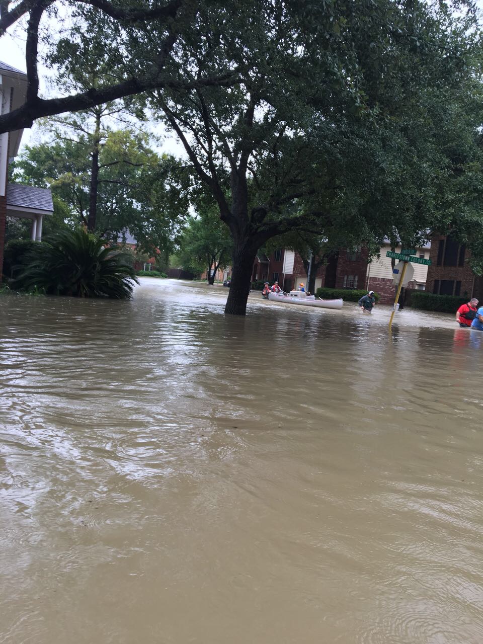 Texas 2017 2