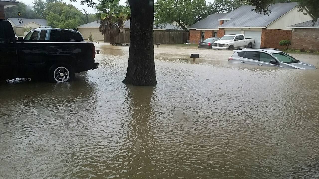 Texas 2017 3