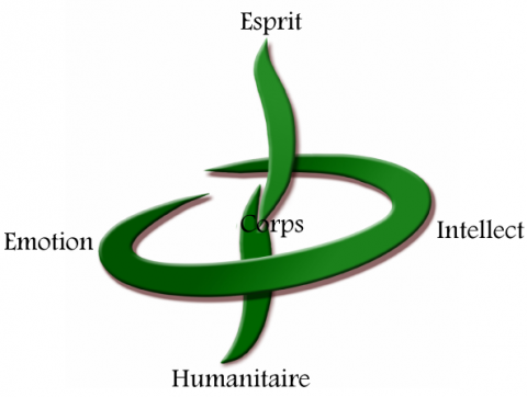 TrangNha Logo